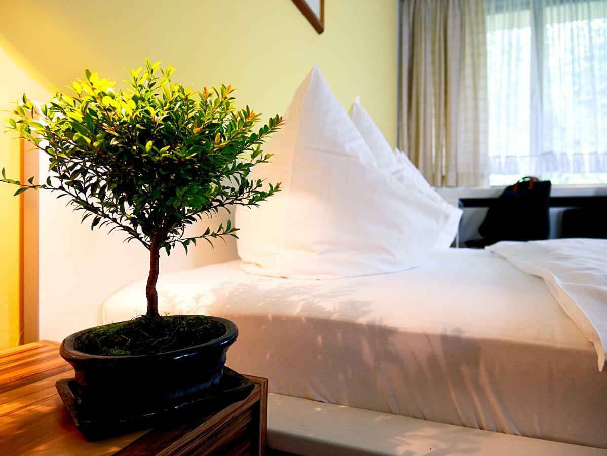 Hotel Albrechtshof Gohrisch Kültér fotó